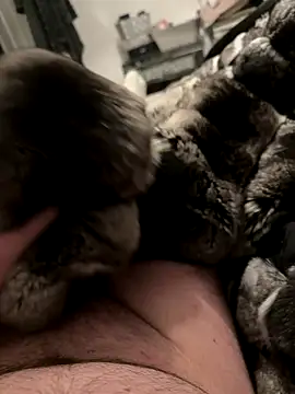 Furdale online show from 12-04-25, 07:00