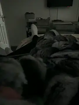 Snapshot of Furdale chatting on 02-11-26, 03:39 Furdale online show from 02-11-26, 03:39