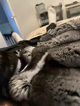 Snapshot of Furdale chatting on 02-12-26, 04:24 Furdale online show from 02-12-26, 04:24