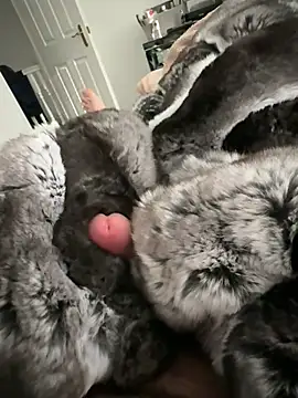 Snapshot of Furdale chatting on 02-22-26, 03:10 Furdale online show from 02-22-26, 03:10