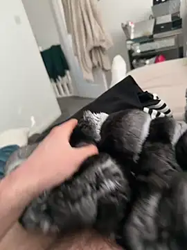 Snapshot of Furdale chatting on 03-07-26, 03:42 Furdale online show from 03-07-26, 03:42