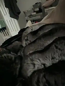 Snapshot of Furdale chatting on 03-09-26, 03:16 Furdale online show from 03-09-26, 03:16