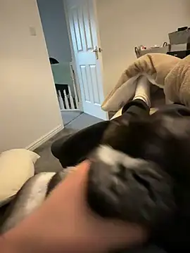 Snapshot of Furdale chatting on 03-12-26, 04:57 Furdale online show from 03-12-26, 04:57