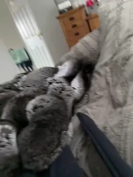 Snapshot of Furdale chatting on 03-30-26, 09:54 Furdale online show from 03-30-26, 09:54