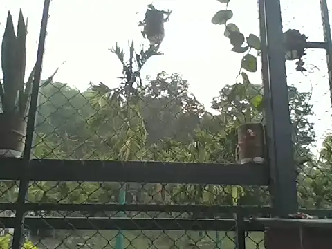 Snapshot of Indiaguy4u chatting on 03-23-26, 02:15 Indiaguy4u online show from 03-23-26, 02:15