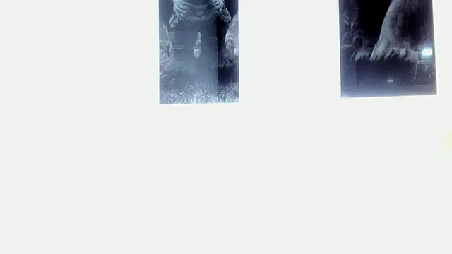 AlexRivera6 online show from 03-17-25, 11:43