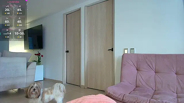 allysoonswwan17 online show from 03-05-26, 04:14