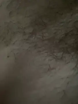 Snapshot of pol6t chatting on 02-13-26, 12:56 pol6t online show from 02-13-26, 12:56