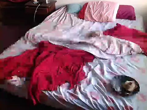 Snapshot of deftoolceles chatting on 03-23-26, 06:56 deftoolceles online show from 03-23-26, 06:56