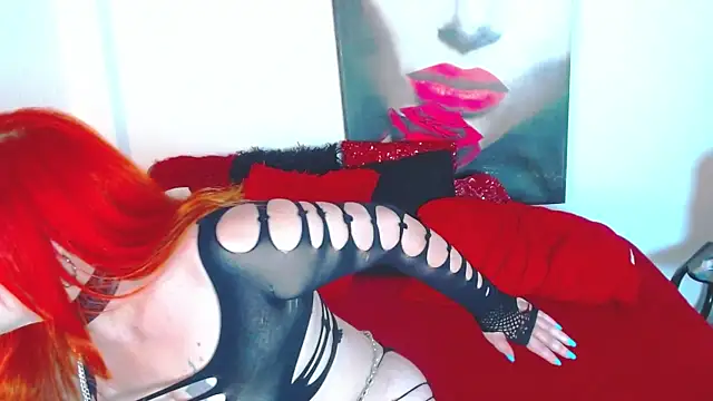 dairia meraky online show from 05-08-26, 05:40