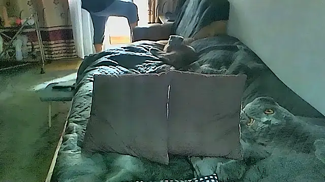 sex2 online show from 03-08-26, 02:04