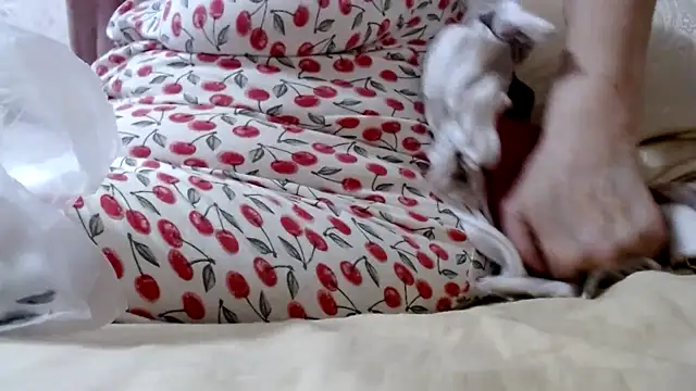 Anabelldestiny online show from 02-04-25, 12:11