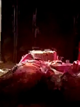 Bibikami online show from 02-10-26, 02:59