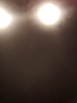 Snapshot of lilianashemale chatting on 11-01-25, 03:08 lilianashemale online show from 11-01-25, 03:08