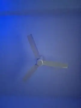 Snapshot of monabhabi22 chatting on 02-24-25, 11:32 monabhabi22 online show from 02-24-25, 11:32