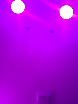 Snapshot of ScarletCallings420 chatting on 02-24-25, 04:15 ScarletCallings420 online show from 02-24-25, 04:15