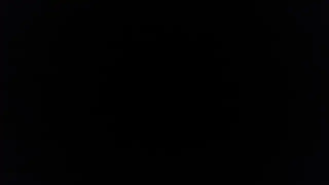 palidin1 online show from 12-05-25, 07:43