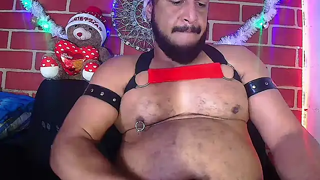 the master foal  online show from 12-29-24, 02:42