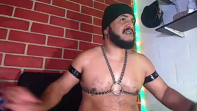 the master foal  online show from 01-03-25, 06:14