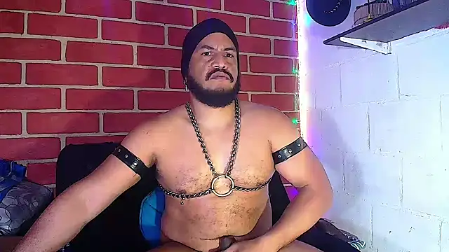 the master foal  online show from 01-14-25, 02:00