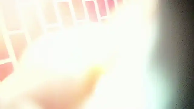 the master foal  online show from 03-06-25, 04:19