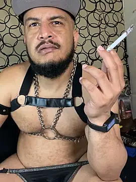 the master foal  online show from 03-07-26, 10:01