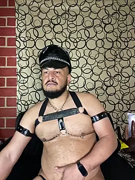 the master foal  online show from 03-10-26, 08:14