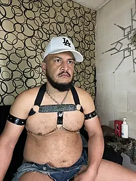 the master foal  online show from 03-11-26, 07:20