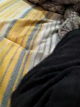 Snapshot of Yaramaz331 chatting on 03-09-25, 06:39 Yaramaz331 online show from 03-09-25, 06:39