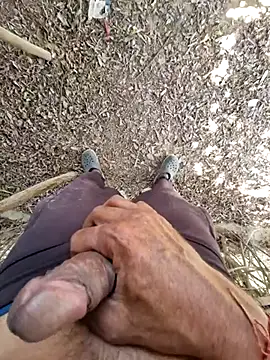 breejs online show from 11-15-25, 06:55