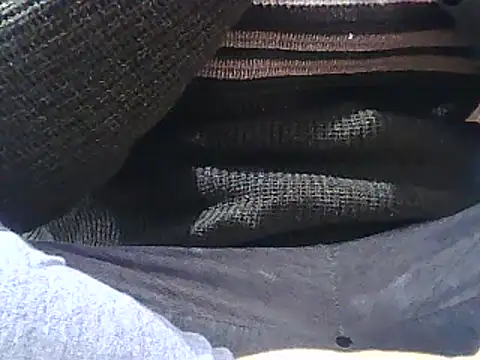 brilliant9 online show from 12-29-24, 08:37