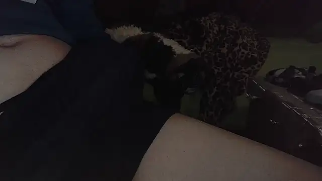 dimipetagr online show from 02-22-25, 11:13