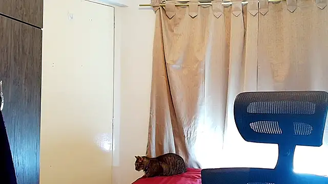 jimmy class online show from 12-05-25, 03:09