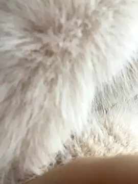 Feral berry 8133 online show from 12-02-24, 06:20