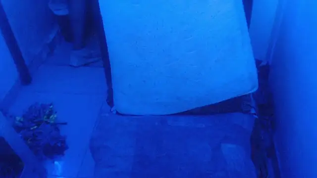 selenax2023 online show from 02-02-26, 11:03