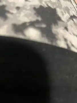 katcclovea online show from 02-26-25, 05:17