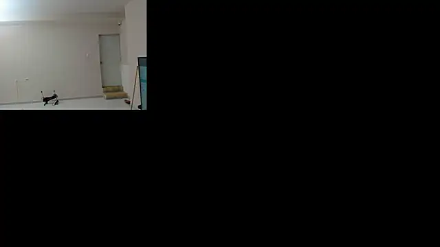 letty straus online show from 06-16-26, 11:13