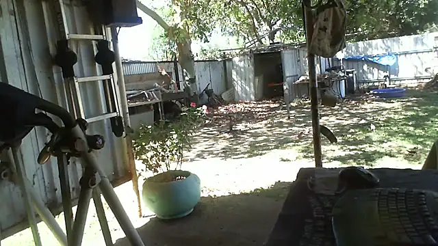 herbie010666 online show from 11-06-25, 04:24