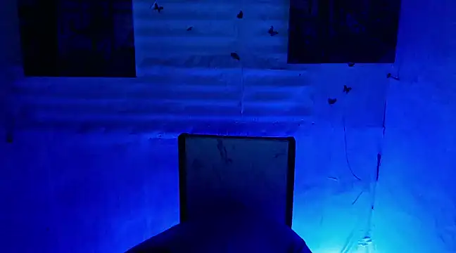 Snapshot of bbygrl_Carol chatting on 01-05-25, 10:32 bbygrl Carol online show from 01-05-25, 10:32