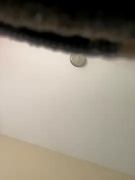 Iced cloudz online show from 12-14-25, 03:17