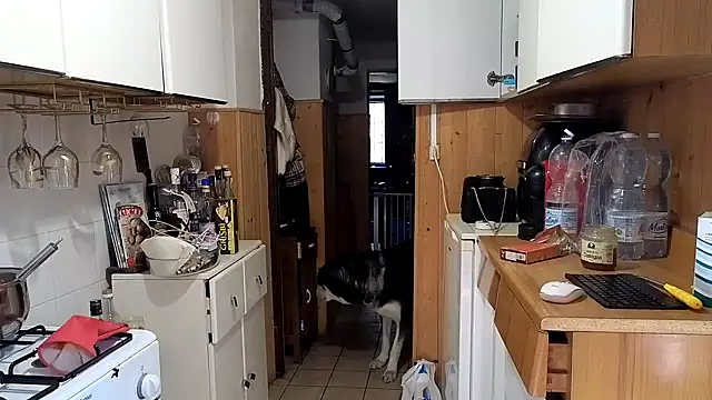 VanessaDoyle online show from 02-26-26, 08:57