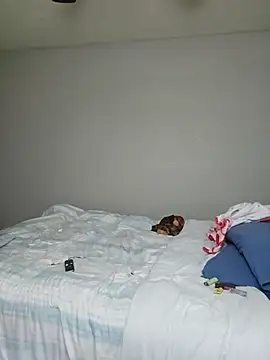 Snapshot of oliviaprettypussy chatting on 03-21-26, 05:45 oliviaprettypussy online show from 03-21-26, 05:45