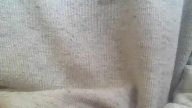 Snapshot of OralDesires2 chatting on 02-17-25, 03:20 OralDesires2 online show from 02-17-25, 03:20
