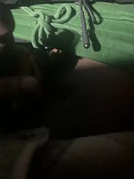 Snapshot of dingoding chatting on 01-11-25, 11:34 dingoding online show from 01-11-25, 11:34