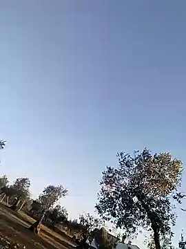 kempsilk online show from 02-14-26, 07:49