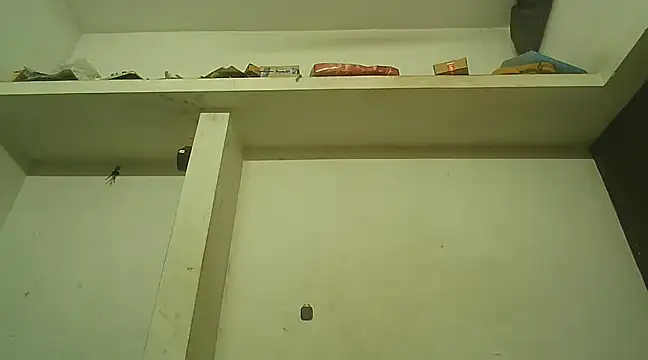 Akhilamolu the transsissy online show from 02-08-25, 05:39