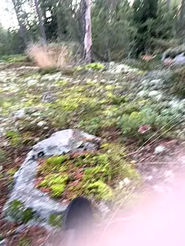 Andreashow online show from 09-22-25, 04:09