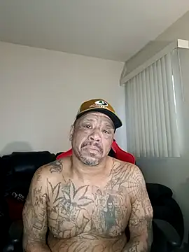 yellowwetfox online show from 02-03-26, 02:22