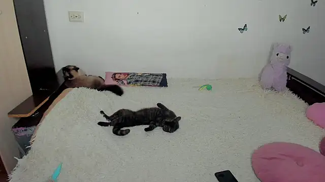NataliEvans online show from 06-18-26, 10:14