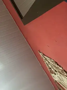 pimenta gaby online show from 11-04-25, 11:09